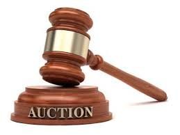 Rules and terms for Auction properties Rules and terms for Auction properties