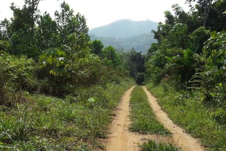 Lenggeng Land for sale, Negeri Sembilan