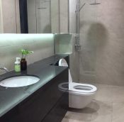  Desa Park City One Central Park Condominium
