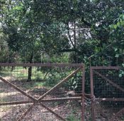  Mantin land for sale, agriculture | Negeri Sembilan