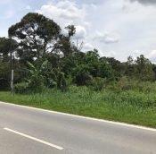  Mantin land for sale, agriculture | Negeri Sembilan