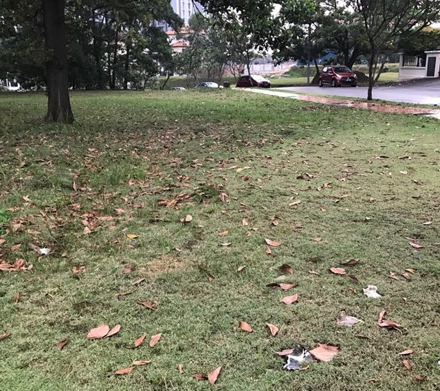 land for sale in Mont Kiara Kuala Lumpur, Malaysia land for sale in Mont Kiara Kuala Lumpur, Malaysia