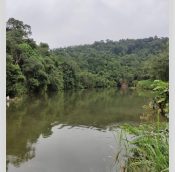  Seremban, Negeri Sembilan Malaysia, Agriculture Land for sale