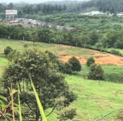  Gemas agriculture land for sale, Negeri Sembilan