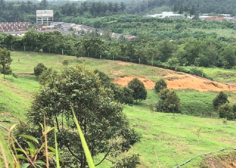 Gemas agriculture land for sale, Negeri Sembilan