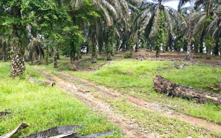 Senai Land for sale, Kulai Johor, Malaysia
