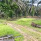 Senai Land for sale, Kulai Johor, Malaysia