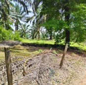 Senai Land for sale, Kulai Johor, Malaysia