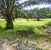Senai Land for sale, Kulai Johor, Malaysia