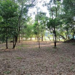 Subang Jaya Bungalow Land for Sale Selangor Subang Jaya Bungalow Land for Sale Selangor