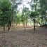 Subang Jaya Bungalow Land for Sale Selangor