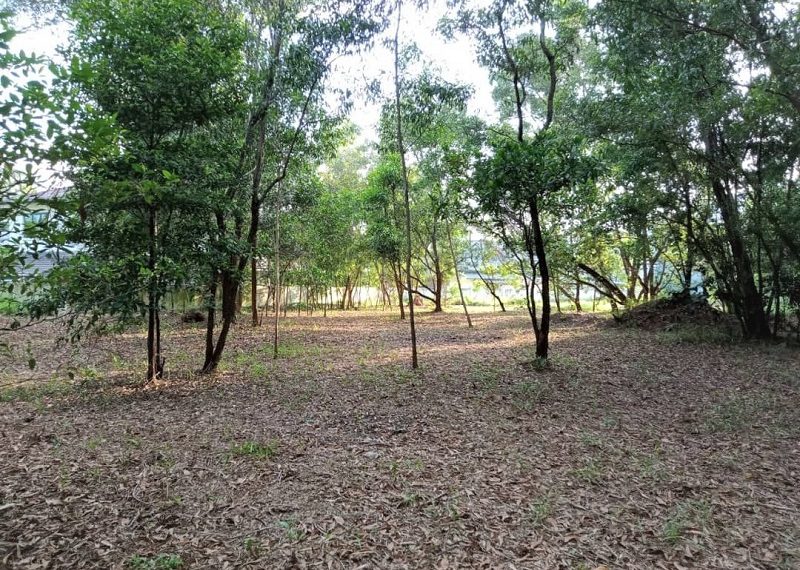 Subang Jaya Bungalow Land for Sale Selangor Subang Jaya Bungalow Land for Sale Selangor