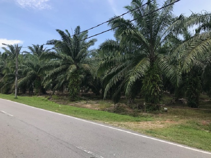 Industrial Land for Sale, Klang Selangor