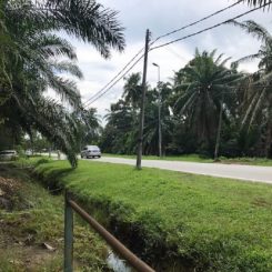 Jenjarom industrial land for sale, Selangor Malaysia Jenjarom industrial land for sale, Selangor Malaysia