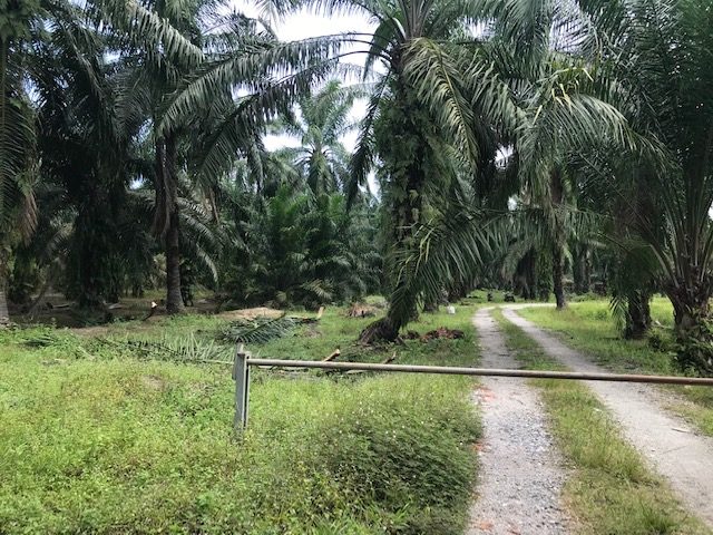 Banting Land for sale Selangor