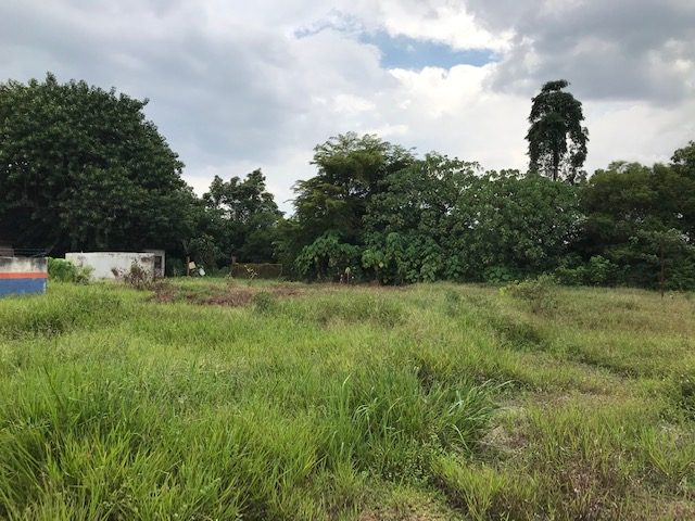 Dengkil Land for sale Selangor – agriculture land