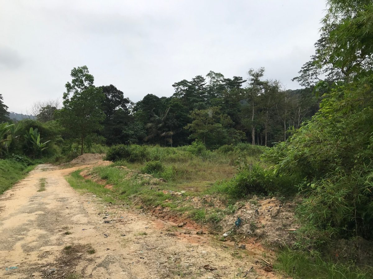 Sungai buloh agriculture land for rent 