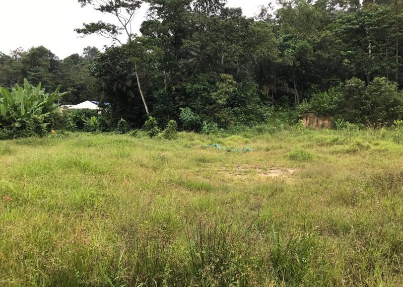 Sungai Buloh agriculture Land for rent